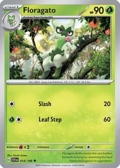 Floragato card art