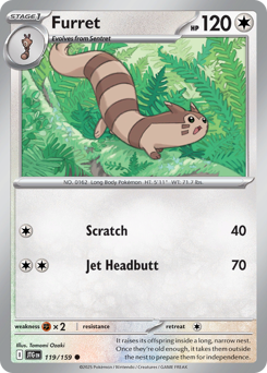 Furret card art