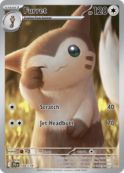 Furret card art