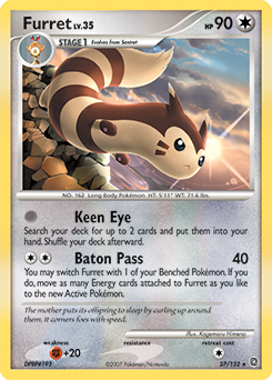 Furret card art