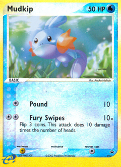 Mudkip card art
