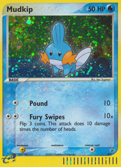 Mudkip card art