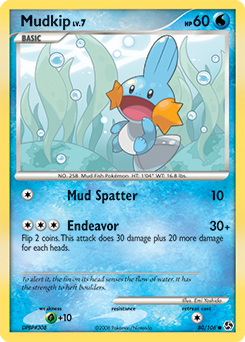 Mudkip card art