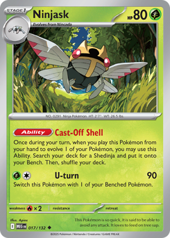 Ninjask card art