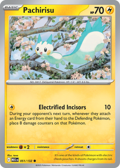 Pachirisu card art