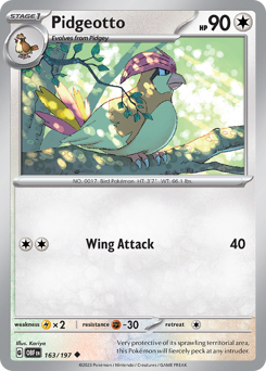 Pidgeotto card art