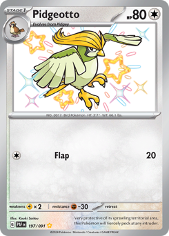 Pidgeotto card art
