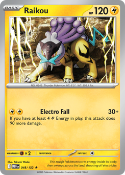 Raikou card art