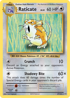 Raticate card art