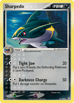 Sharpedo card art