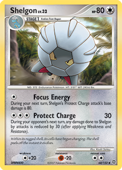 Shelgon card art