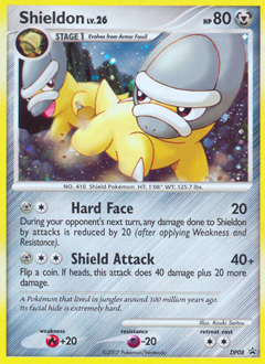 Shieldon card art