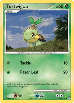 Turtwig card art