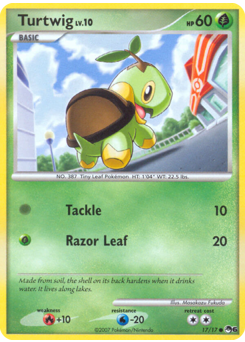 Turtwig card art