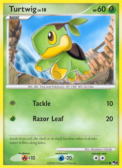 Turtwig card art