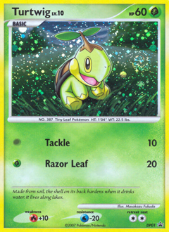 Turtwig card art