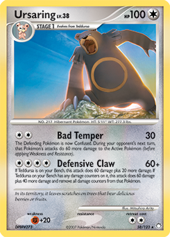 Ursaring card art