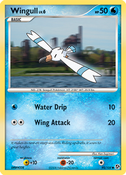 Wingull card art